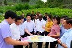 Ha Giang, WB sign strategic cooperation framework for 2020-2025 