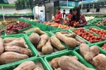 CPI in January hits record high in recent 7 years
