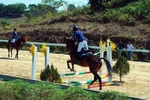 Olympic horse riding club opens in Lam Dong