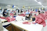 Vietnam needs to develop raw materials production to take advantage of EVFTA