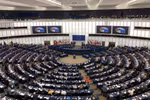 EP member welcomes ratification of EVFTA, EVIPA
