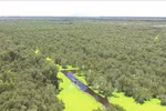 Biodiversity needs proper protection measures