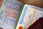 Free stay permit waivers extended until November 30