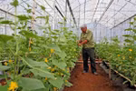 Creating sustainable businesses in Vietnam