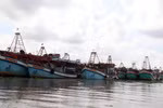  Kien Giang cracking down on illegal fishing