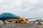 Vietnam considering loosening immigration policies, resuming flights