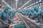 Seafood exports increase after EVFTA comes into effect