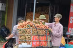 Hai Duong prepares to export fresh lychees to Japan