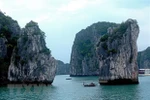 Ha Long Bay sightseeing ticket fares down by half for cruise tourists