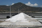 Ninh Thuan to become country’s top salt producer