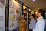 Exhibition spotlights Da Nang’s coastal urban development