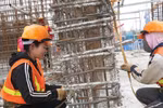 Professional liability insurance revenue surges