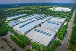 IZs development needs planning to attract FDI
