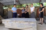 Ancient rock bed found in Ninh Binh province