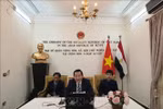 Webinar on President Ho Chi Minh held in Egypt