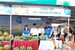 Fruit, farm produce week opens in Hanoi