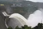 Power companies face hardship in pandemic