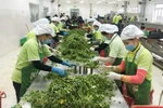 Ample space for boosting exports of processed agricultural products