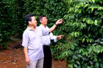 Organic Agriculture Development Project for 2020-2030 adopted