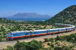 More railway tickets available for Tet