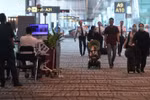 Singapore, Thailand strengthen measures to cope with COVID-19 outbreak