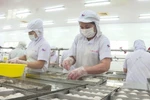 Yellow card pushes seafood industry developing sustainably