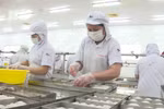 Yellow card pushes seafood industry developing sustainably
