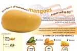First batch of Vietnamese mangoes exported to US
