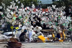 Dien Bien readies for Ban flower festival 
