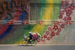 Photo capturing Hanoi street vendor wins int’l award