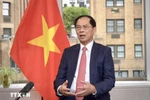 Deputy Prime Minister and Foreign Minister Bui Thanh Son (Photo: VNA)