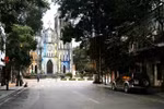 The historic St Joseph's Cathedral and neighbouring French-styled houses frame a scene where lush foliage and tree roots weave a romantic tapestry. (Photo: mia.vn)