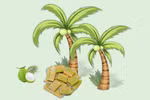Coconut output to top 2 million tonnes by 2030 