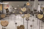 Hanoi Museum hosts exhibition marking Vietnam Heritage Day