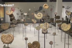 Hanoi Museum hosts exhibition marking Vietnam Heritage Day