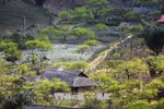 Peaceful and picturesque Moc Chau Plateau