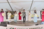 Vietnamese culture introduced at Francophone event in France