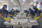 Vietnam’s tra fish exports expected to reach two bln USD in 2024