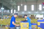 Tapping potential for durian exports to China