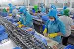 Tra fish export to UAE jumps 67% in Q1