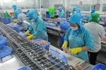 Tra fish export to UAE jumps 67% in Q1