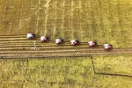 Rice exports gross nearly 1.4 billion USD in Q1