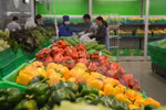 Fruit and vegetable exports hit 3.34 billion USD
