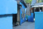 Tam Hai Island to introduce mural project