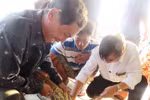 Lobster farmers march onward despite difficulties