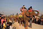 Elephant festival in northern Lao province 