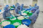 Vietnam vows to combat IUU fishing
