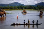 Lak Lake in Dak Lak Province offers a tranquil experience