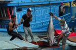 Worker safety at risk, especially in fishing