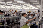 FDI in HCM City IZs expected to hit 500 mln USD in 2017